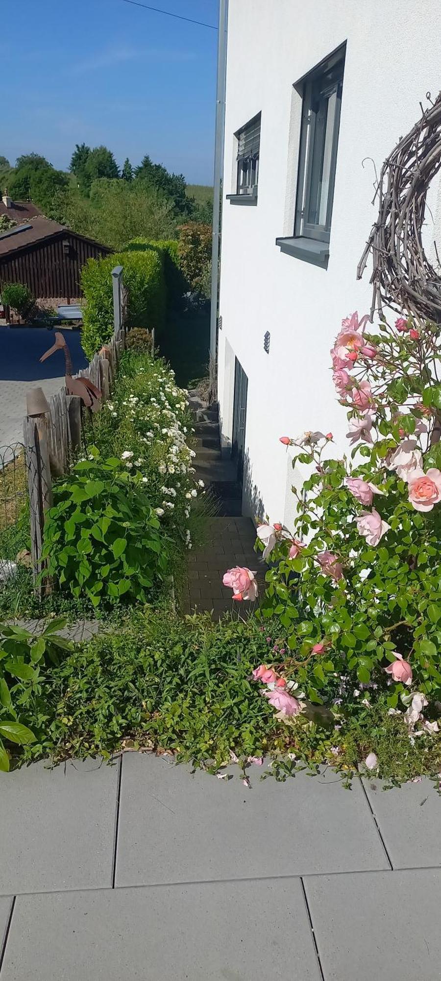 Ferienwohnung Rebgaertle Britzingen Zewnętrze zdjęcie