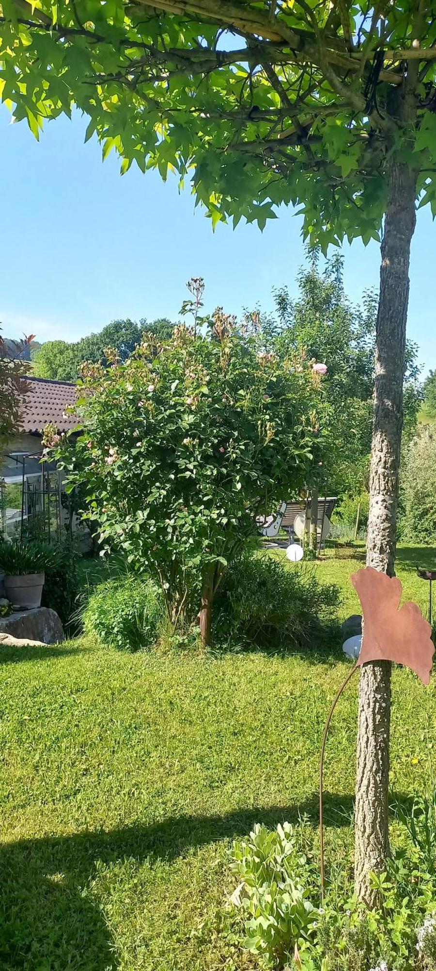 Ferienwohnung Rebgaertle Britzingen Zewnętrze zdjęcie
