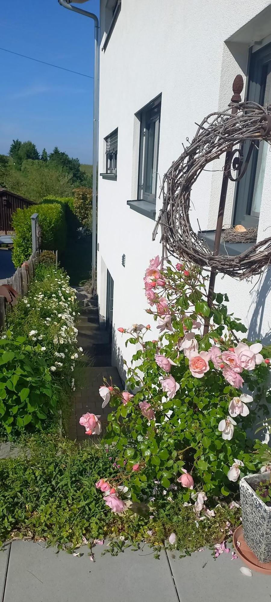 Ferienwohnung Rebgaertle Britzingen Zewnętrze zdjęcie